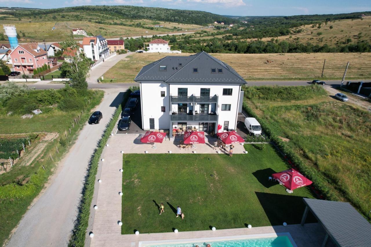 Pensiunea Harmony Băile Felix Exterior foto